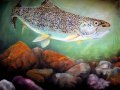 rainbow_trout_art_ruth_israel-web