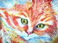 pet_portrait_ruth_israel