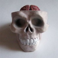 anatomical_nesting_doll_skull_ruth_israel