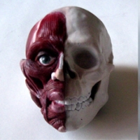 encorche_head_ruth_israel