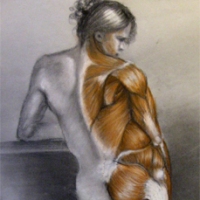 life4-musclewoman
