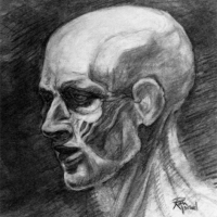 life_drawing_ruth_israel