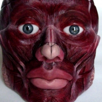 Anatomical Nesting Doll Head