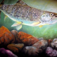 rainbow_trout_art_ruth_israel-web
