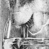 cat-drinking-water-web500--ruth-israel